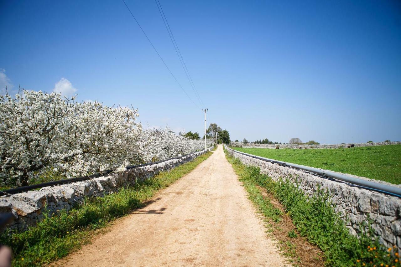 סנטה לוצ'יה Masseria Guadiano Vecchio מראה חיצוני תמונה