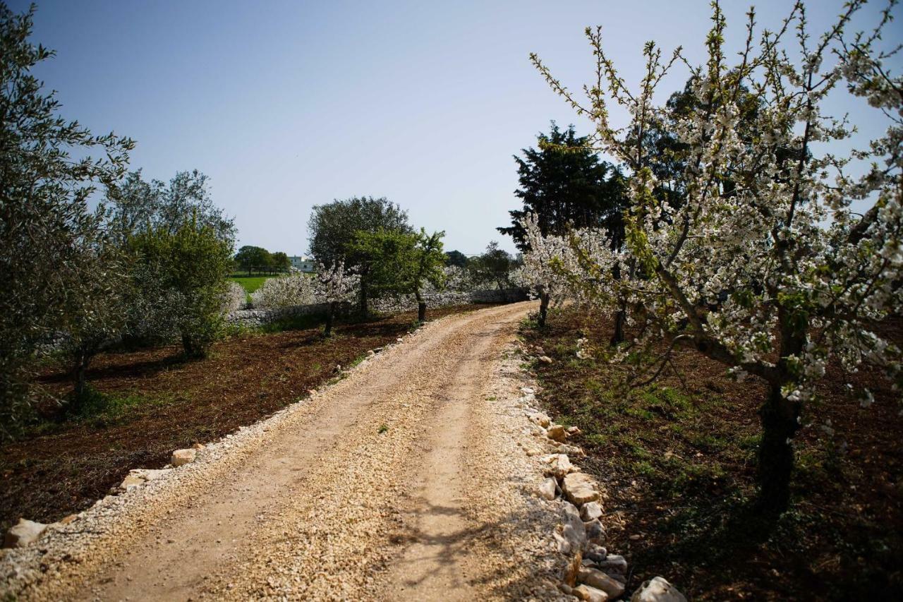 סנטה לוצ'יה Masseria Guadiano Vecchio מראה חיצוני תמונה
